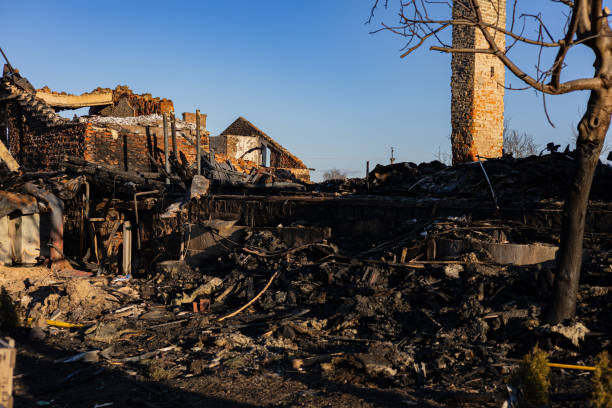 Reliable Content Restoration contractor in Pinellas Park, FL by Meridian Smoke Damage